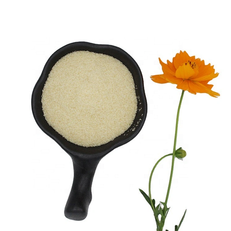 2024 new arrival manufacturer edible gelatin 25kg/bag 120-300 bloom